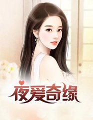 夜爱奇缘周晴何亮阅读