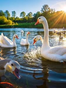 咱农村的家里事最新