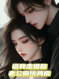 逼我走婚后，老公肩挑两房(佚名) - 逼我走婚后，老公肩挑两房全文在线阅读 - 逼我走婚后，老公肩挑两房最新章节 - 奏决网