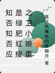 知否知否应是绿肥红瘦之卫小娘重