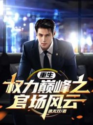 重生：权力巅峰之官场风云(唐无双)