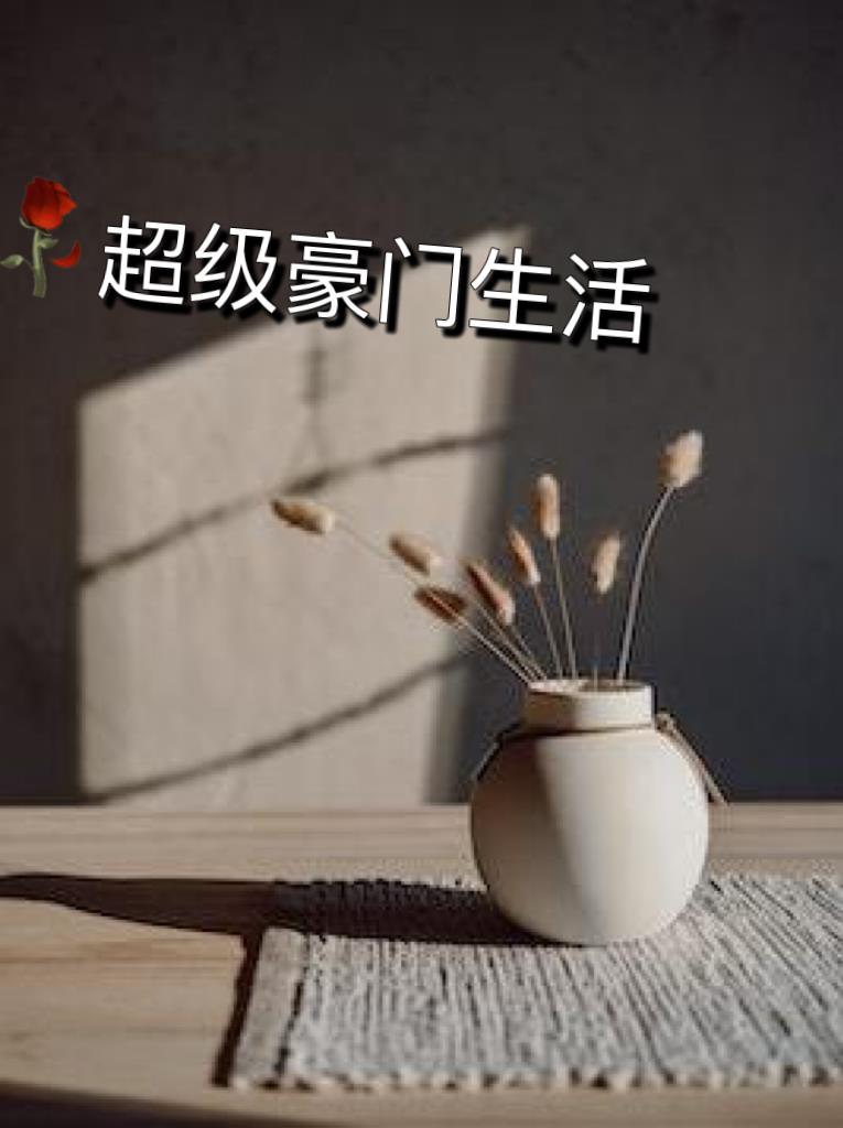 超级豪门生活苏柔全部