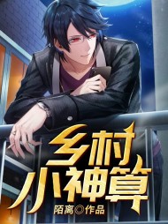 乡村小神算宋大棍王桂香阅读