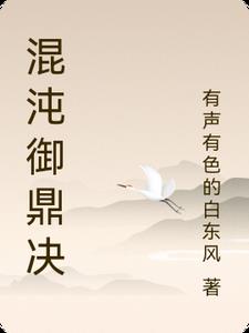 混沌御鼎决主角林风阅读