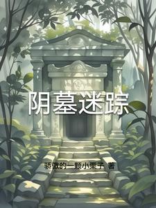 阴墓迷踪主人公皮皮阅读