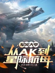 军火大亨：从ak到星际航母阅读