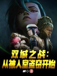 双城之战：从被入室盗窃开始