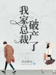 我家总裁破产了by仲孙雅青