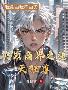 决战商界之逆天狂尊(李云)