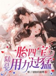 一胎四宝，陆总用力过猛(断了翅膀的雄鹰) - 一胎四宝，陆总用力过猛全文在线阅读 - 一胎四宝，陆总用力过猛最新章节 - 奏决网