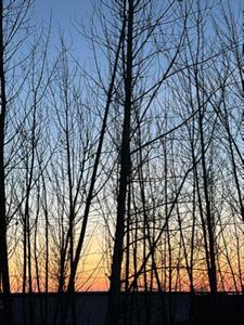 你可真会装(梨八三)阅读(梨八三) - 你可真会装(梨八三)阅读全文在线阅读 - 你可真会装(梨八三)阅读最新章节 - 奏决网