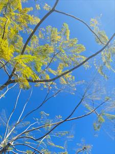 我爱你不如你爱我+后续(是图腾啊) - 我爱你不如你爱我+后续全文在线阅读 - 我爱你不如你爱我+后续最新章节 - 奏决网