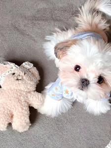 超爽系统后续+番外(阿克曼sjka) - 超爽系统后续+番外全文在线阅读 - 超爽系统后续+番外最新章节 - 奏决网