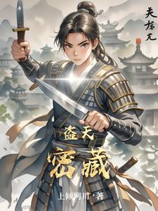 盗天密藏林羽阅读