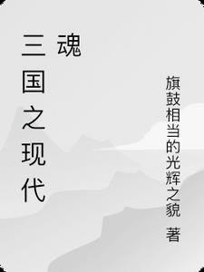 三国之现代魂林小羽阅读