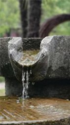 打井工？这个男人有妻有妾+后续(浪里寻花) - 打井工？这个男人有妻有妾+后续全文在线阅读 - 打井工？这个男人有妻有妾+后续最新章节 - 奏决网