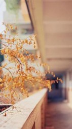 同桌后我被学霸总裁偏爱(清萝风)阅读(清萝风) - 同桌后我被学霸总裁偏爱(清萝风)阅读全文在线阅读 - 同桌后我被学霸总裁偏爱(清萝风)阅读最新章节 - 奏决网