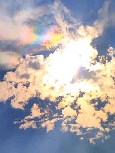 世姐姐的后半生(言解云)阅读(言解云) - 世姐姐的后半生(言解云)阅读全文在线阅读 - 世姐姐的后半生(言解云)阅读最新章节 - 奏决网