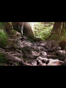 重生之璀璨人生(爱吃香蕉豆腐的鸿均)阅读(爱吃香蕉豆腐的鸿均) - 重生之璀璨人生(爱吃香蕉豆腐的鸿均)阅读全文在线阅读 - 重生之璀璨人生(爱吃香蕉豆腐的鸿均)阅读最新章节 - 奏决网