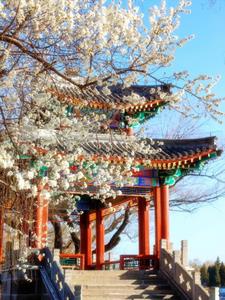 情深不寿空余恨(经冬复立春)阅读(经冬复立春) - 情深不寿空余恨(经冬复立春)阅读全文在线阅读 - 情深不寿空余恨(经冬复立春)阅读最新章节 - 奏决网