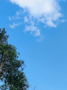 一觉醒来发现舔狗系统跑路了+后续(江月年年似) - 一觉醒来发现舔狗系统跑路了+后续全文在线阅读 - 一觉醒来发现舔狗系统跑路了+后续最新章节 - 奏决网