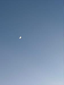 云光(灿灿的小气球)阅读(灿灿的小气球) - 云光(灿灿的小气球)阅读全文在线阅读 - 云光(灿灿的小气球)阅读最新章节 - 奏决网