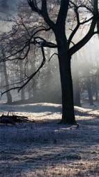 那年光棍节我失去了第一个她(水脉)阅读(水脉) - 那年光棍节我失去了第一个她(水脉)阅读全文在线阅读 - 那年光棍节我失去了第一个她(水脉)阅读最新章节 - 奏决网