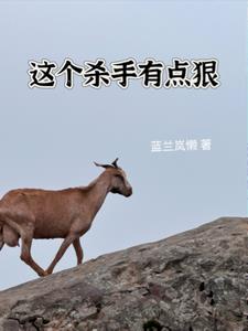 这个杀手有点狠后续+番外(蓝兰岚懒) - 这个杀手有点狠后续+番外全文在线阅读 - 这个杀手有点狠后续+番外最新章节 - 奏决网