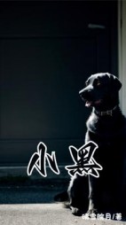 小黑后续+番外(晴雪皖月) - 小黑后续+番外全文在线阅读 - 小黑后续+番外最新章节 - 奏决网