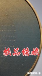 极品绣娘后续+番外(晴雪皖月) - 极品绣娘后续+番外全文在线阅读 - 极品绣娘后续+番外最新章节 - 奏决网