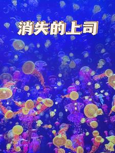 消失的上司+后续(恒匀) - 消失的上司+后续全文在线阅读 - 消失的上司+后续最新章节 - 奏决网