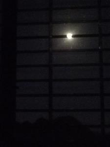 今晚无论如何我都要杀死那只狗(老是断线)阅读(老是断线) - 今晚无论如何我都要杀死那只狗(老是断线)阅读全文在线阅读 - 今晚无论如何我都要杀死那只狗(老是断线)阅读最新章节 - 奏决网