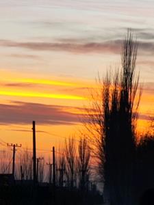 地府遇见前男友，阎王爷站我这边(白杨青柳)阅读(白杨青柳) - 地府遇见前男友，阎王爷站我这边(白杨青柳)阅读全文在线阅读 - 地府遇见前男友，阎王爷站我这边(白杨青柳)阅读最新章节 - 奏决网