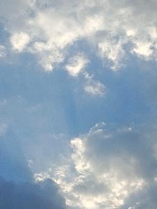 我在等阅读(十二012) - 我在等阅读全文在线阅读 - 我在等阅读最新章节 - 奏决网