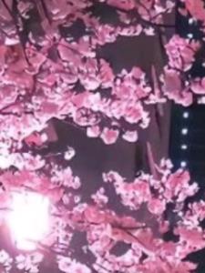 穿越到了女频+后续(085333) - 穿越到了女频+后续全文在线阅读 - 穿越到了女频+后续最新章节 - 奏决网