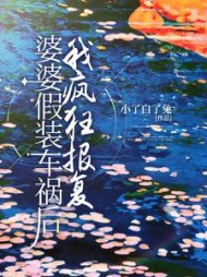 婆婆假装车祸后，我疯狂报复后续+番外(小了白了兔) - 婆婆假装车祸后，我疯狂报复后续+番外全文在线阅读 - 婆婆假装车祸后，我疯狂报复后续+番外最新章节 - 奏决网