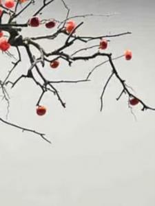 为了活命，她将自己毒哑了后续+番外(坚果冰) - 为了活命，她将自己毒哑了后续+番外全文在线阅读 - 为了活命，她将自己毒哑了后续+番外最新章节 - 奏决网