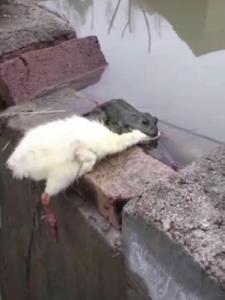 老公也重生后续+番外(脾气不好的小人) - 老公也重生后续+番外全文在线阅读 - 老公也重生后续+番外最新章节 - 奏决网