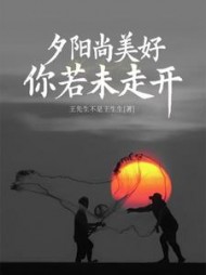 夕阳尚美好你若未走开阅读(王先生不是王生生) - 夕阳尚美好你若未走开阅读全文在线阅读 - 夕阳尚美好你若未走开阅读最新章节 - 奏决网