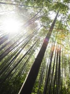 子夜白月光后续+番外(夜深星空) - 子夜白月光后续+番外全文在线阅读 - 子夜白月光后续+番外最新章节 - 奏决网