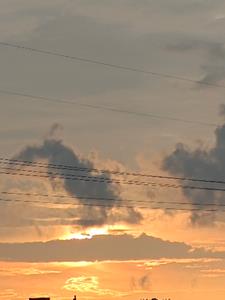 灵潮逆世后续+番外(胡芙桃) - 灵潮逆世后续+番外全文在线阅读 - 灵潮逆世后续+番外最新章节 - 奏决网