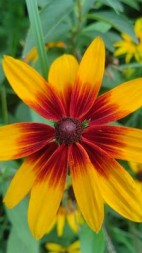 挣脱牢笼+后续(芷若轻烟) - 挣脱牢笼+后续全文在线阅读 - 挣脱牢笼+后续最新章节 - 奏决网