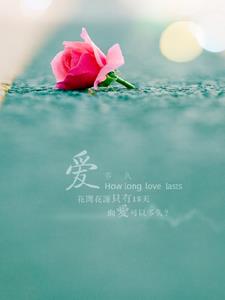 我爱你不是因为你爱我+后续(鱼晓的热爱) - 我爱你不是因为你爱我+后续全文在线阅读 - 我爱你不是因为你爱我+后续最新章节 - 奏决网