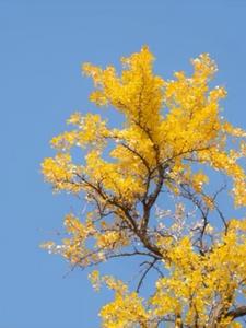 “追妻火葬场能追回来吗？”后续+番外(音凉凉) - “追妻火葬场能追回来吗？”后续+番外全文在线阅读 - “追妻火葬场能追回来吗？”后续+番外最新章节 - 奏决网