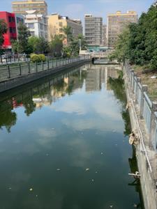 重生之过好自己后续+番外(懒淼淼的小屋) - 重生之过好自己后续+番外全文在线阅读 - 重生之过好自己后续+番外最新章节 - 奏决网