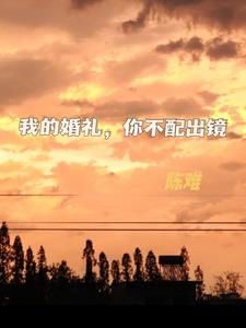 我的婚礼，你不配出镜后续+番外(陈难) - 我的婚礼，你不配出镜后续+番外全文在线阅读 - 我的婚礼，你不配出镜后续+番外最新章节 - 奏决网