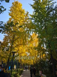 血液的羁绊(卷容79)阅读(卷容79) - 血液的羁绊(卷容79)阅读全文在线阅读 - 血液的羁绊(卷容79)阅读最新章节 - 奏决网