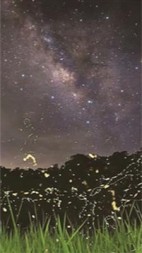 夏日幽灵(一只小埋酱)阅读(一只小埋酱) - 夏日幽灵(一只小埋酱)阅读全文在线阅读 - 夏日幽灵(一只小埋酱)阅读最新章节 - 奏决网