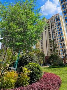 ta一直都在后续+番外(鱼不吐泡泡0o) - ta一直都在后续+番外全文在线阅读 - ta一直都在后续+番外最新章节 - 奏决网