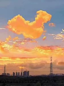 重生复仇(夜月五十弦)阅读(夜月五十弦) - 重生复仇(夜月五十弦)阅读全文在线阅读 - 重生复仇(夜月五十弦)阅读最新章节 - 奏决网